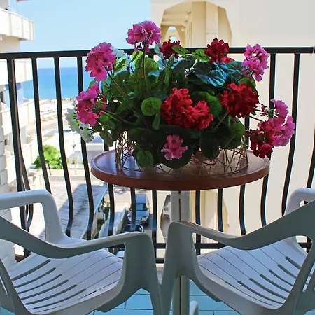 Bristol - A 30 Mt Dalla 酒店